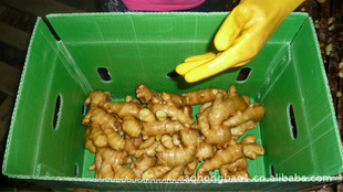 ڱʽŷˡж
