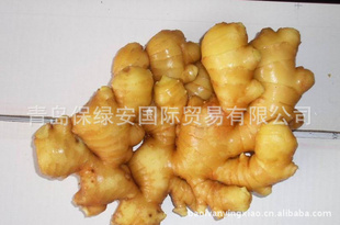 2013걣ʴgingerж޹ʽ