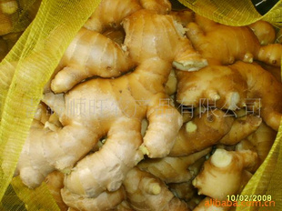 ʽڼô