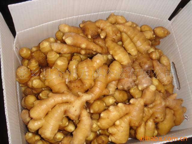 ڼ