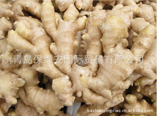 ڼginger50-300gȹɽƽȱմ