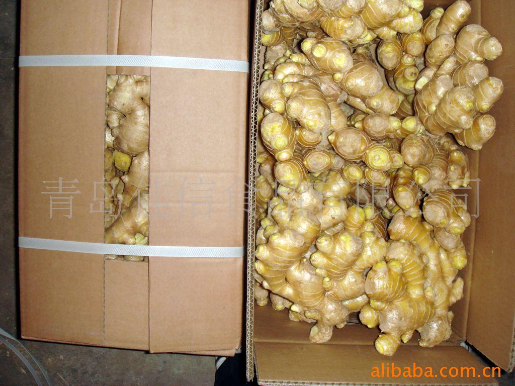 պʷ(ͼ)ginger