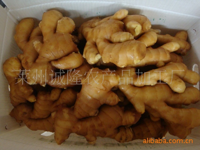 ֹڡݴ