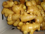2010غòʽ