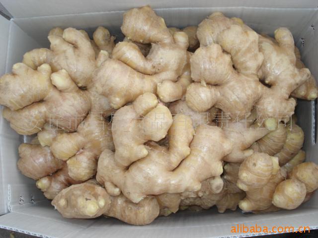09꼶潪ʽ