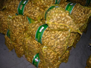 ʴڰ˹̹ϼ