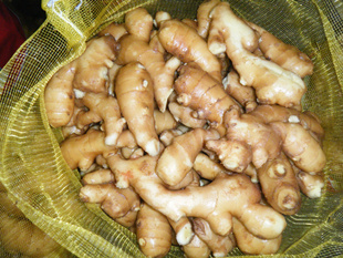ڼװֹ