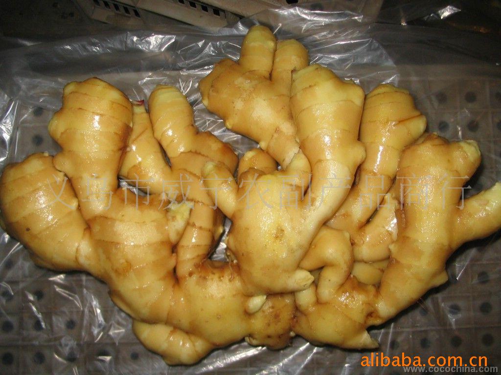 ڼ