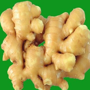 ڼʴж(ͼ)
