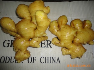 ʽרձŷˡжȵ