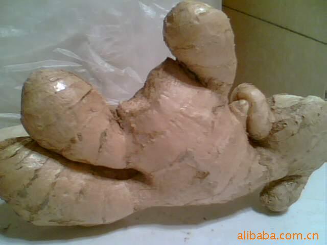 ڼ