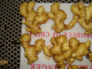 ձŷޡʡ