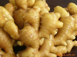 2010زһƷ