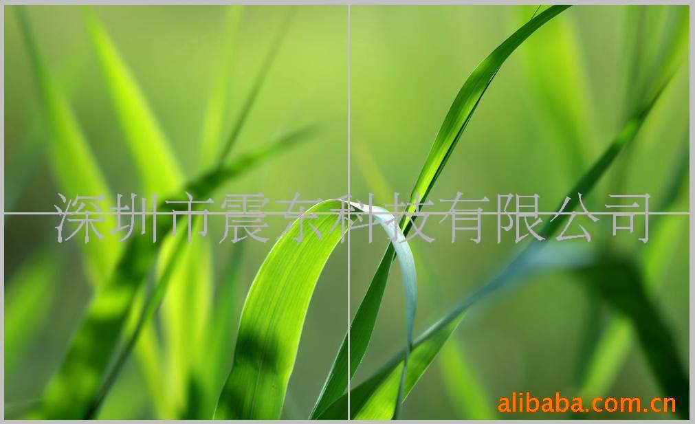 Ϲ40Һƴǽ9*9ϣ(ͼ)