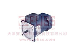 AC-MOTORENˮACA100LB4
