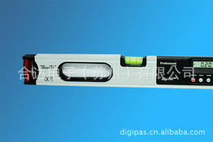Digi-PasDWL600Fþˮƽߣˮƽ