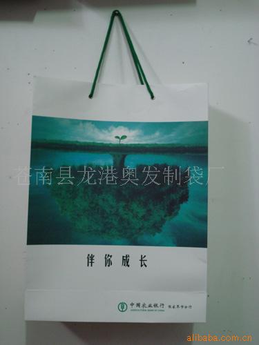 手提纸袋纸袋环保袋礼品袋购物袋