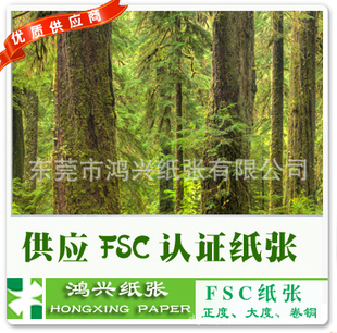 FSC˫ֽ70g80g()ȴȾͲ˫ֽһٽս