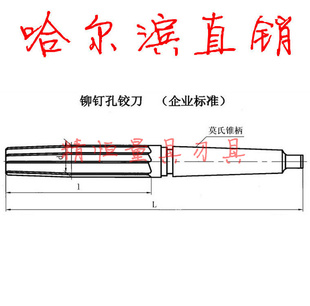 ۹һí1718mm