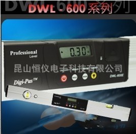 Digi-PasDWL600E/ˮƽ