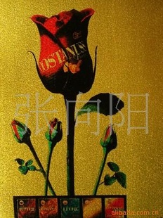 Ӱ¥īӡ12˿ĥɰPETƬ(ͼ)