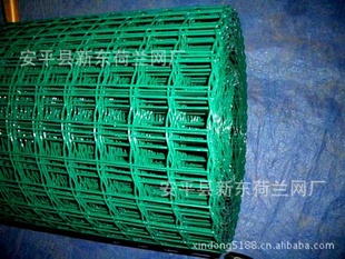 ֳܵ纸