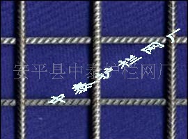 ֱֽƬ纸Ƭ