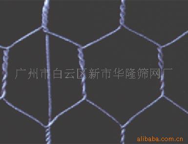 ɸʯ