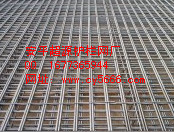 Ҷ