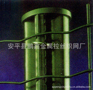 ṩֱ۸Żݻӭѡ