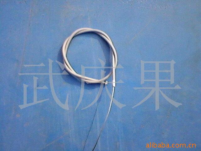 ṩгɲ߼ӹ