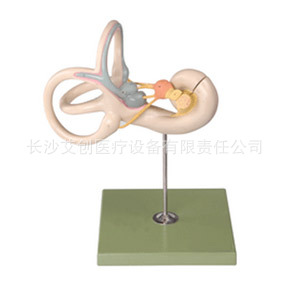 ڶ·Ŵģڶ·ģڶ·ģACEE-A17205