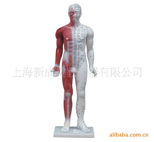 84CM徣(Ƥ֯ʾϵͳֲȣ