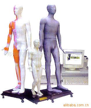 ýѨλģ-ҽѧģͣѧģ