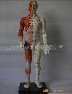 60cmʾ/徣