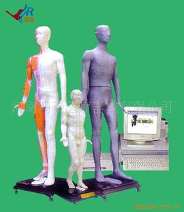 ҽѧѧģ--ýѨģ