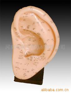 22CM