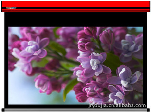 ҶͶӰĻֶ1004:3ͶӰĻͶӰ4:3