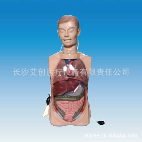 ҽѧṩϴθģͶ๦͸ϴθģACEE-H80