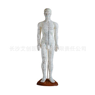 徣60CM徣60CM徣