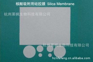 轺ĤsilicamembraneDNARNA
