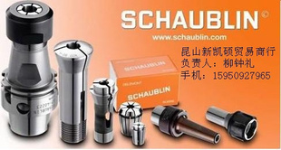 ʿSCHAUBLINBϵͲ