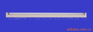 ֱʵT5֧ܵ