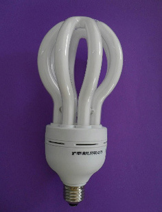 65W110-220VͽܵLEDܵ