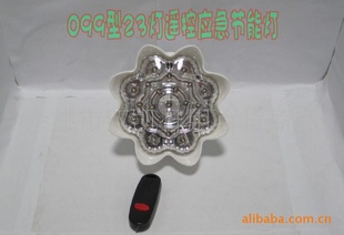 2012¿LEDңؽӦ