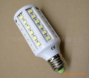 ֱLEDܵƣ60Ƭ׵ƣů׹
