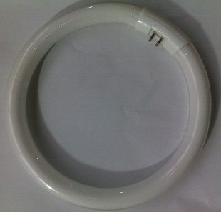 T522Wεƹƹ