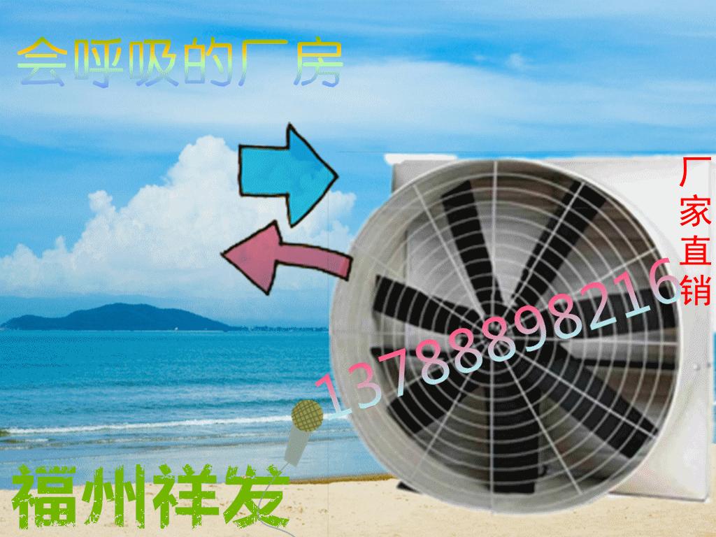 鷢ȷ