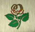 żӹ