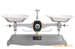 JYT-1-100gƽ